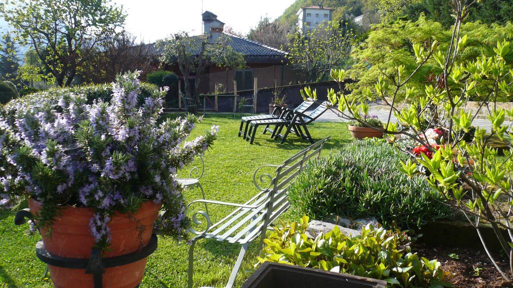 Casa Beatrice Apartment Oliveto Lario Exterior photo