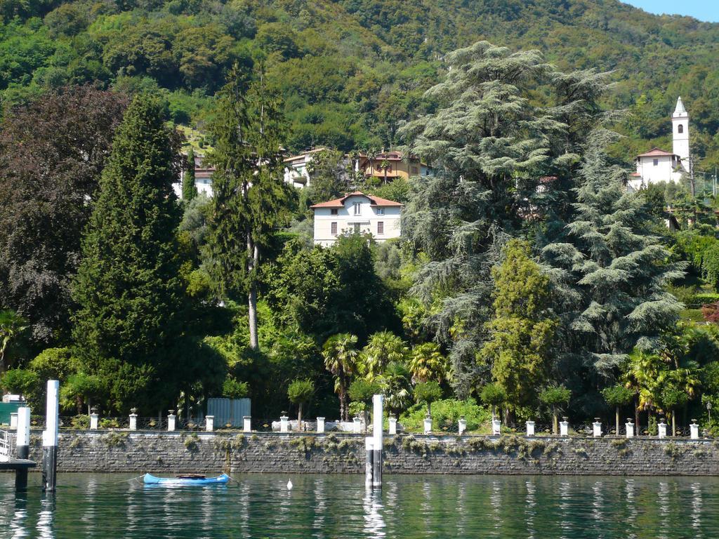 Casa Beatrice Apartment Oliveto Lario Exterior photo